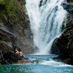 bel09-swimnatural-pools-free