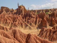 Colombia_South-westColombia_Tatacoadesert_ClaireMilner-27