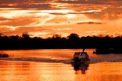 bra02-amazonclippercruises-free