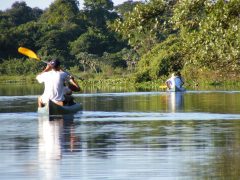 BRA15_GoWildlifeSpottingInThePantanal_TamsinButler_Free