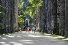 bra19-riogradens-free-jspaull