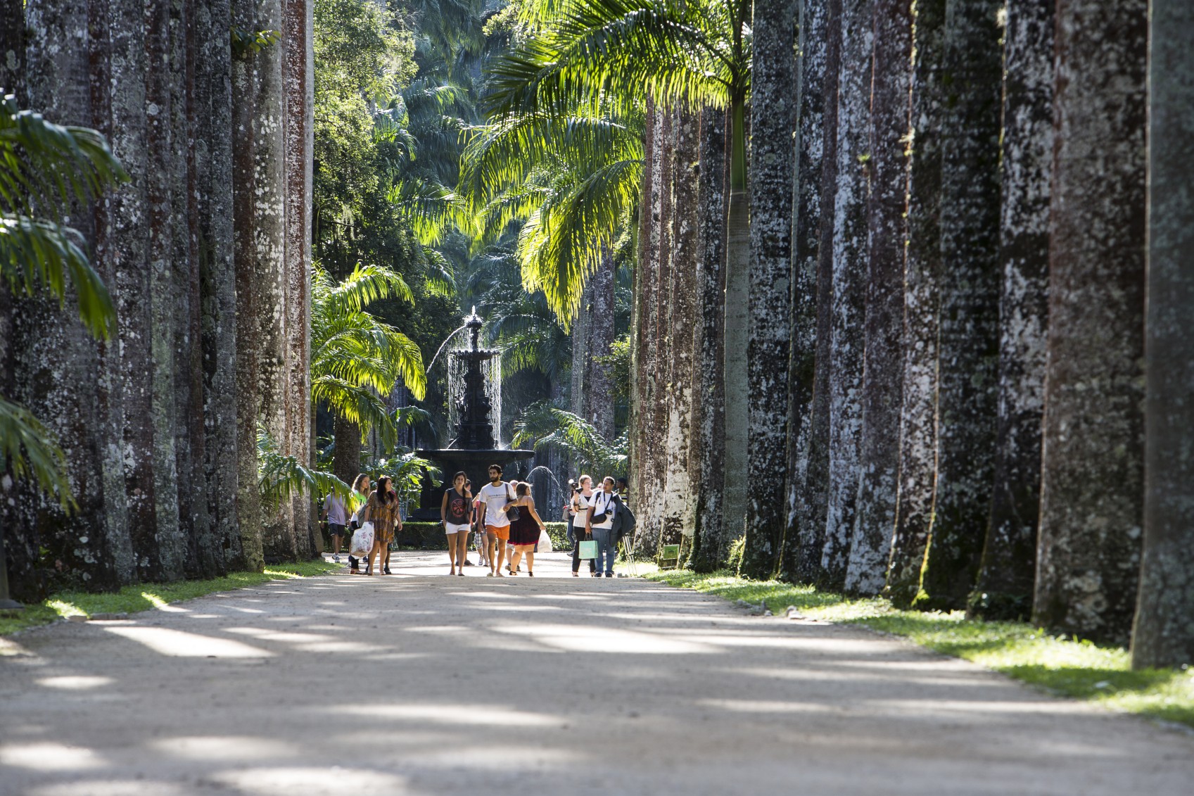 bra19-riogradens-free-jspaull