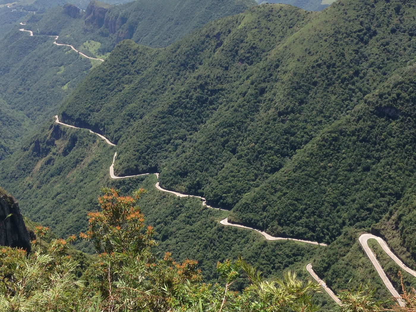 BRA_UnknownSouthBrazil_SC438_CJ (2)