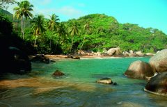 col08-tayrona-free-shutterstock-8499205