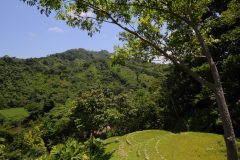 col09-taironaka-nature-reserve-proexport-free