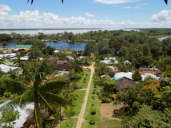 COL_amazon_PuertoNarino_CJ