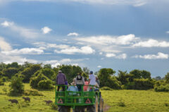 ColombiaLosllanosSafariNeptuno