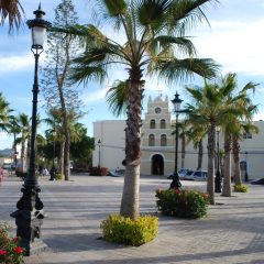 Mexico_Baja_Todos_Santos_ClaireMilner_square_1