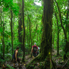 cos01-hike-up-to-a-crater-lake-free-rafe-crop