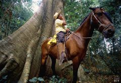 cos02-horse-ride-to-la-fortuna-falls-free-ict
