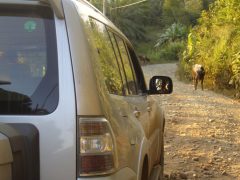 cos04-selfdrive-free-rafe