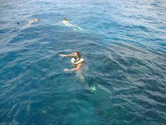 cos17-snorkellingmarinereserve-free-cm