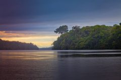 Landscape in Tortuguero National Park, Costa Rica