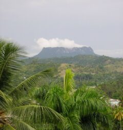 cub02-climb-a-table-mountain-free-lat