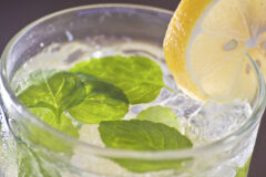 CUB13_Cuba_Havana_Mojito_Free_istock