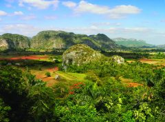 cub28-vinales-free-istock-000001570178