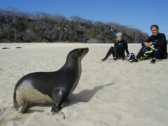 ecu16-wildlife-watching-in-the-galapagos-jl-free