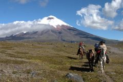ecu28-cotopaxi-national-park-free