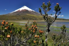 ecu30-visit-cotopaxi-national-park-free-istock