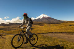 Mountain bike Cotopaxi