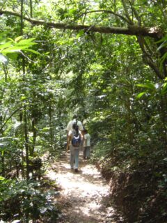 sal04-el-imposible-national-park-free-ra-1