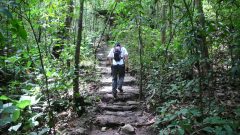 SAL09_CinqueraNationalPark_SW_Free