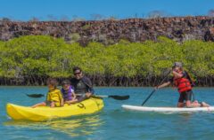 GAL_Kayak_Tropic_freewithcredit (2)