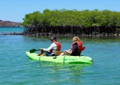 Ben Line ©-Galapagos Islands-Santa Cruz Island-01 April 2017