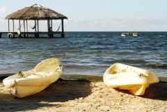 hon03-sea-kayaking-wildlife-excursion-free-htb