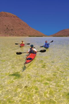 mex01-kayaking-pay-alamy