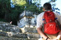 mex17-palenque-free-roselatham