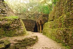 mex18-visit-remote-mayan-cities-free-mn