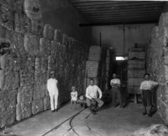 Historic Henequen Hacienda