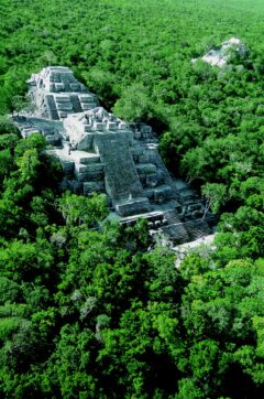 Calakmul Archaeological Zone, Mexico