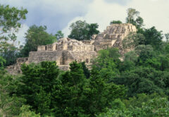 Calakmul in Campeche, Mexico