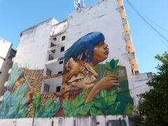 PAR_Asuncion_DN_free (6)