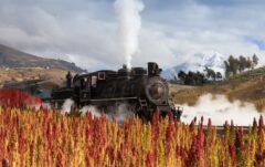 Ecuador_AvenueoftheVolcanoes_TrenEcuador_TRENCRUCERO-3