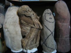 per07-visit-a-museum-of-mummies-free-im