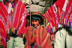 per20-boy-free-sarah-beard