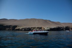 per47-boat-trip-to-ballestas-paracas-free-vti