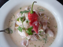 PER_CevicheDN_free
