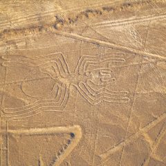 perex002-peru-nascalines-free-istock000005115326